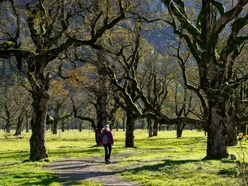 Imagen de una mujer en mitad de la naturaleza Imagen de una mujer en mitad de la naturaleza