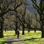 Imagen de una mujer en mitad de la naturaleza