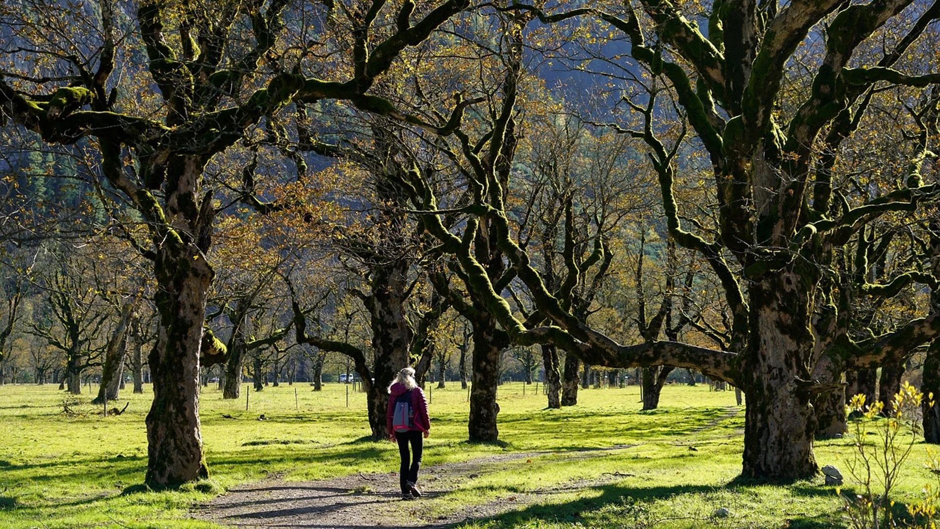 Imagen de una mujer en mitad de la naturaleza