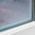 Se insta a los hogares a colocar este alimento por menos de un euro en el alf&eacute;izar de las ventanas a partir de noviembre 