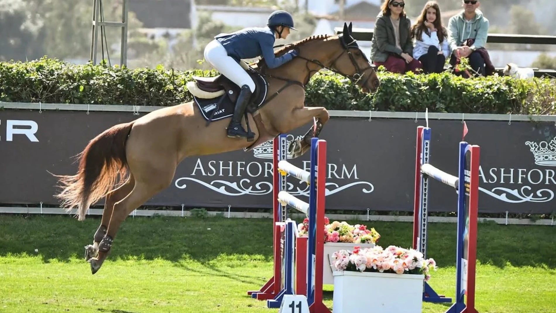 Maya de la Joya, en Dehesa Montenmedio