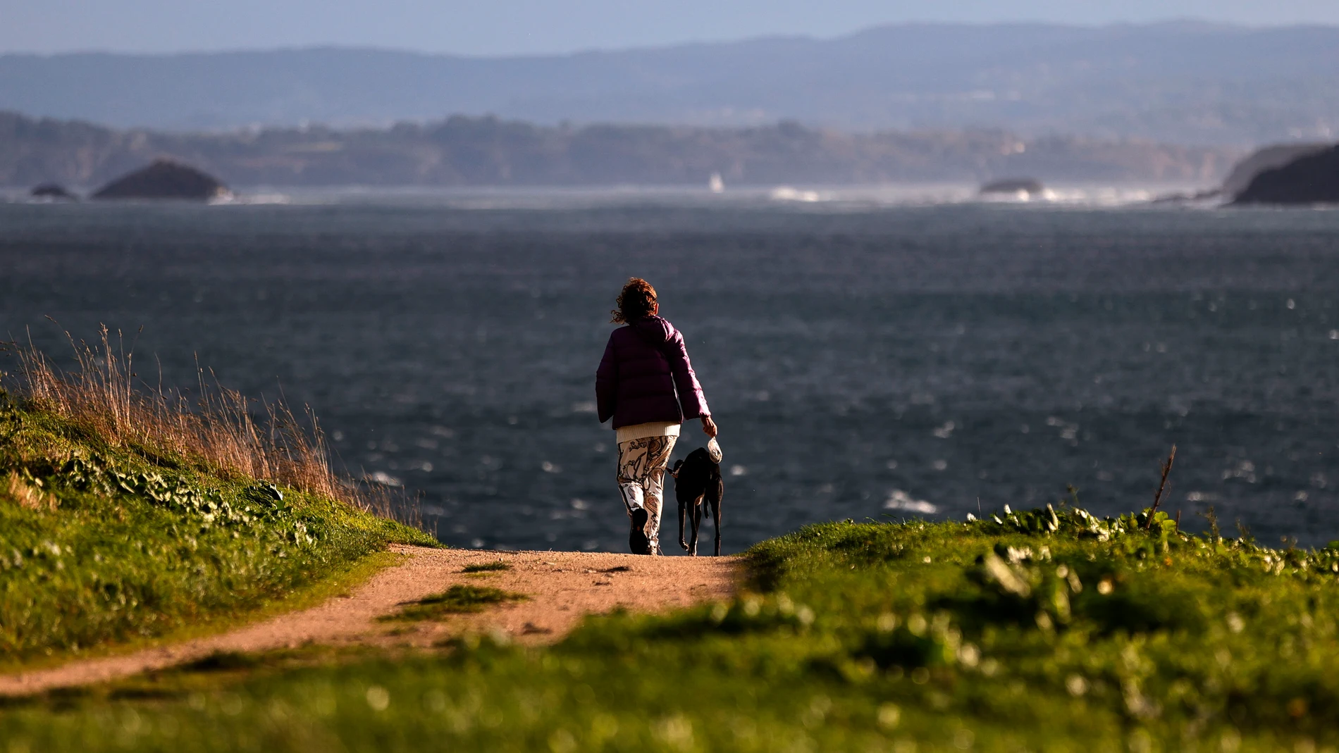 FOTODELDÍA A CORUÑA, 04/11/25.- Una mujer camina con su perro en las inmediaciones del Campo da Rata, en A Coruña, en una jornada en la que las fuertes rachas de viento previstas para hoy han puesto en alerta a cinco comunidades autónomas, según los datos de la Agencia Estatal de Meteorología (Aemet). EFE/Cabalar