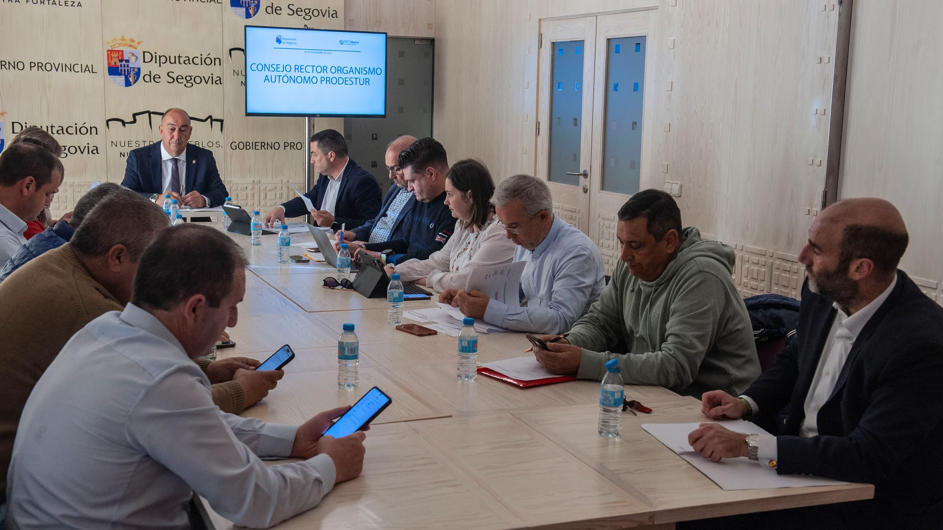 Miguel Ángel de Vicente preside la reunión de Prodestur