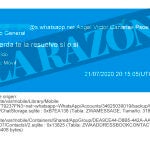 Mensaje entre Koldo y Torres