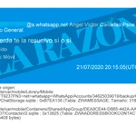 Mensaje entre Koldo y Torres