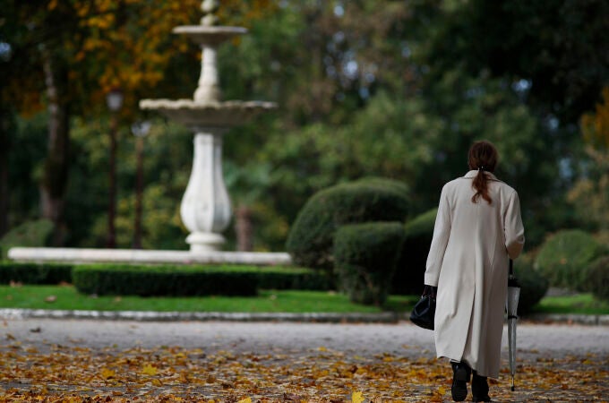 Imagen de archivo Imagen de archivo