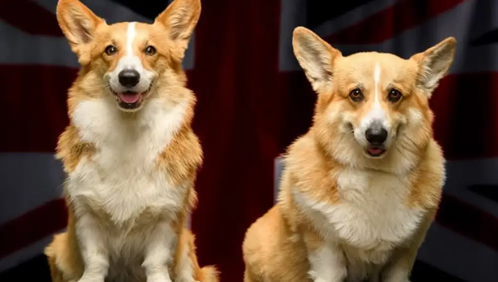 Los corgis de Isabel II