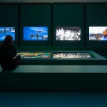 El artista británico John Akomfrah estará en las salas del museo madrileño hasta el 8 de febrero de 2026 El artista británico John Akomfrah estará en las salas del museo madrileño hasta el 8 de febrero de 2026