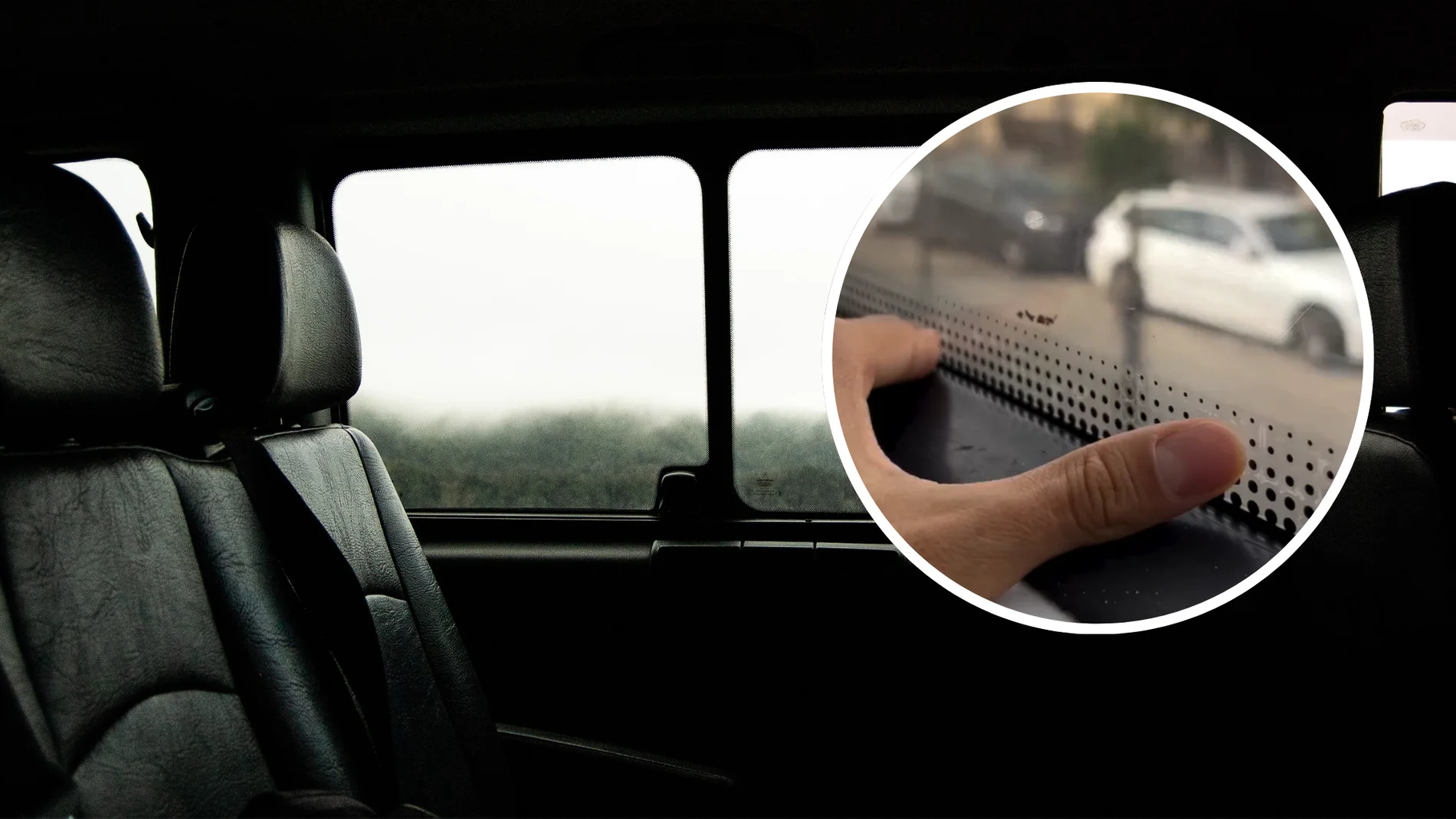 ¿Qué significa y para qué sirve la línea de puntos negros en las ventanas de los trenes?