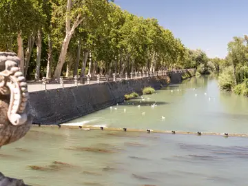 Aranjuez y sus jardines: legado vivo de los reyes Aranjuez y sus jardines: legado vivo de los reyes