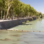 Aranjuez y sus jardines: legado vivo de los reyes