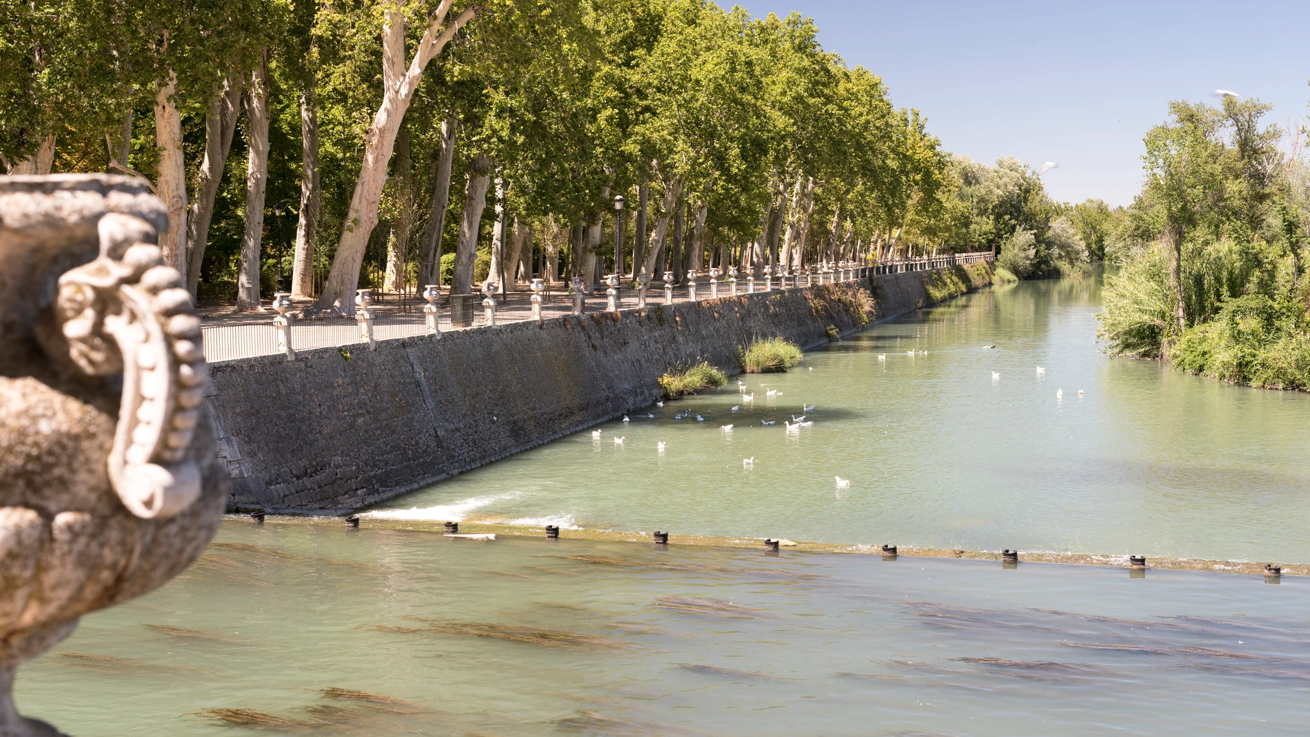 Aranjuez y sus jardines: legado vivo de los reyes