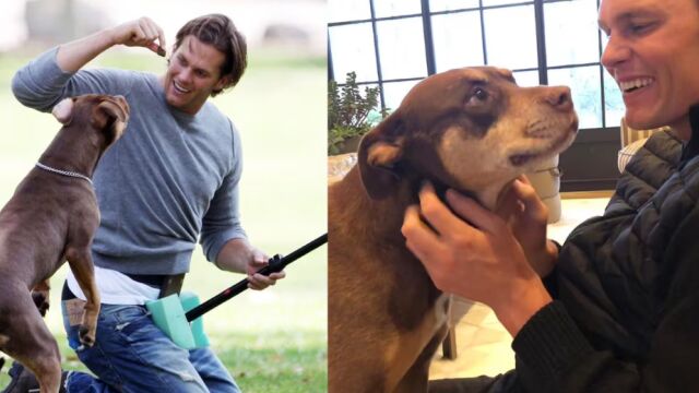 La leyenda de la NFL Tom Brady revela que haber clonado a su perro muerto hace dos años La leyenda de la NFL Tom Brady revela que haber clonado a su perro muerto hace dos años