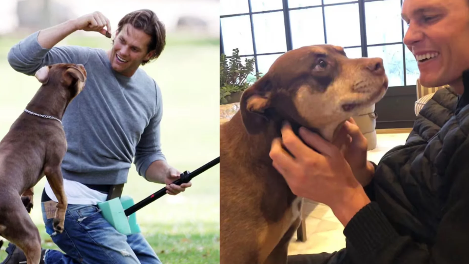 La leyenda de la NFL Tom Brady revela que haber clonado a su perro muerto hace dos años