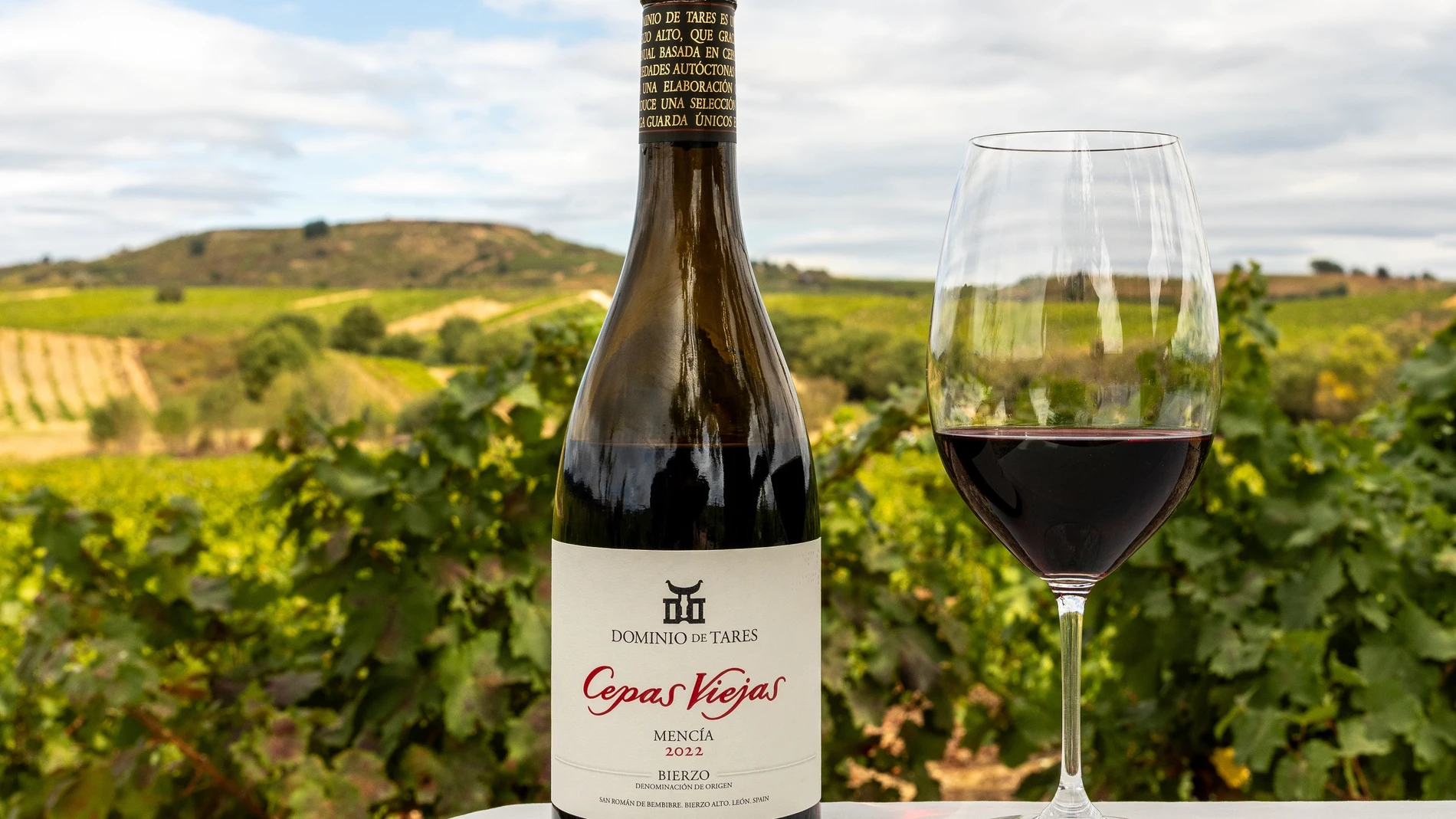 Cepas Viejas, desde el corazón del Bierzo