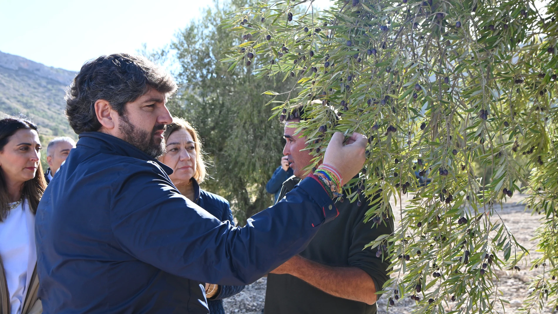 7 millones de euros para salvar los cultivos de secano del Altiplano