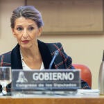 Yolanda Díaz comparece ante la Comisión de Trabajo, Economía Social, Inclusión, Seguridad Social y Migraciones