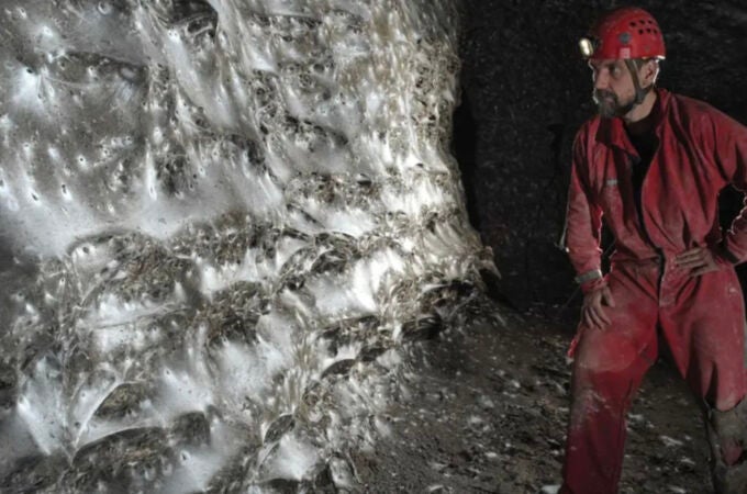 Así es la telaraña más grande del mundo: descubierta bajo tierra en Europa Así es la telaraña más grande del mundo: descubierta bajo tierra en Europa