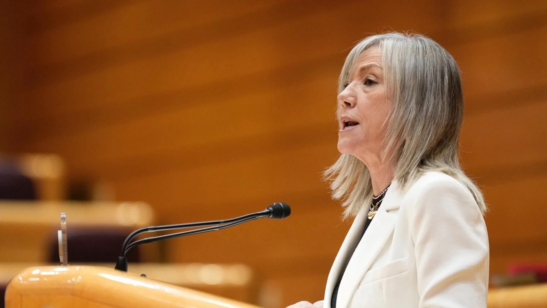 La senadora del PP,María José Ortega