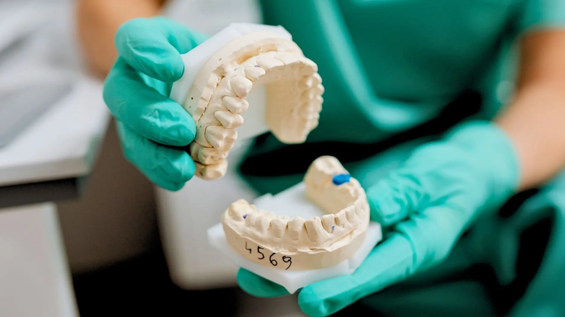 Una científica sostiene una mandíbula con modelo de dientes humanos