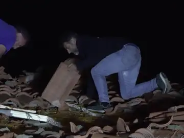 Un tornado provoca la caída de árboles y el derribo de vallado en La Zarza (Badajoz) Un tornado provoca la caída de árboles y el derribo de vallado en La Zarza (Badajoz)