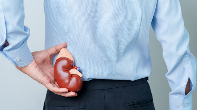 Cada 75 minutos una persona entra en diálisis o recibe un trasplante renal en España Cada 75 minutos una persona entra en diálisis o recibe un trasplante renal en España