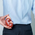 Cada 75 minutos una persona entra en diálisis o recibe un trasplante renal en España