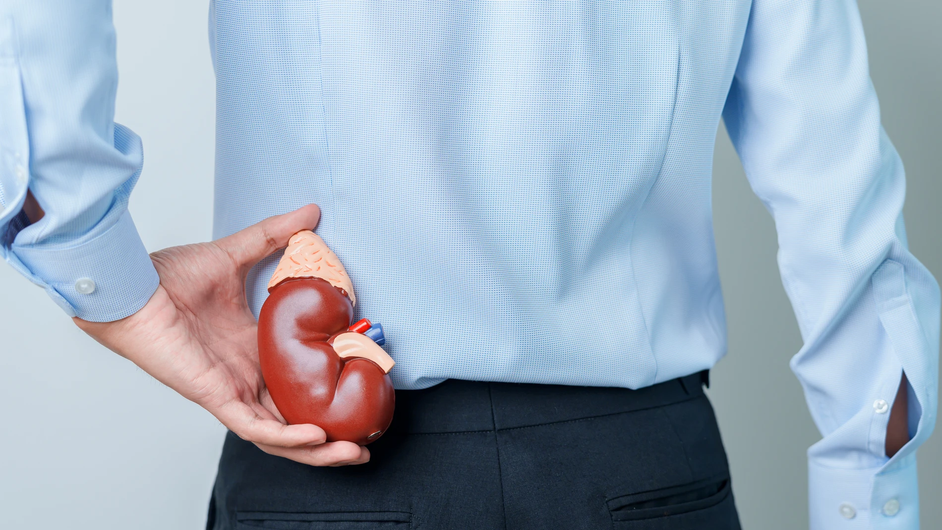 Cada 75 minutos una persona entra en diálisis o recibe un trasplante renal en España