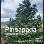 Diputaci&oacute;n y Fundaci&oacute;n Unicaja impulsan una plantaci&oacute;n de pinsapos en el Parque Nacional Sierra de las Nieves