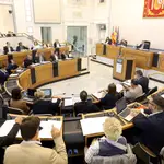 Imagen del pleno ordinario de hoy en la Diputación de Alicante