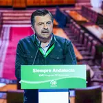 El portavoz del Grupo Parlamentario Popular, Toni Martín,