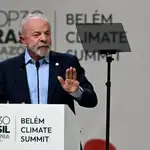 Un total de 53 países lanzan el Fondo Bosques Tropicales en la COP30 con compromiso de 5.500 millones de dólares