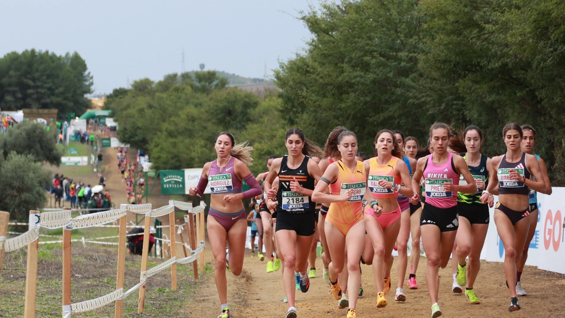 Corredoras durante la XLII Cross Internacional de Itálica. A 17 de noviembre de 2024, en Santiponce, Sevilla