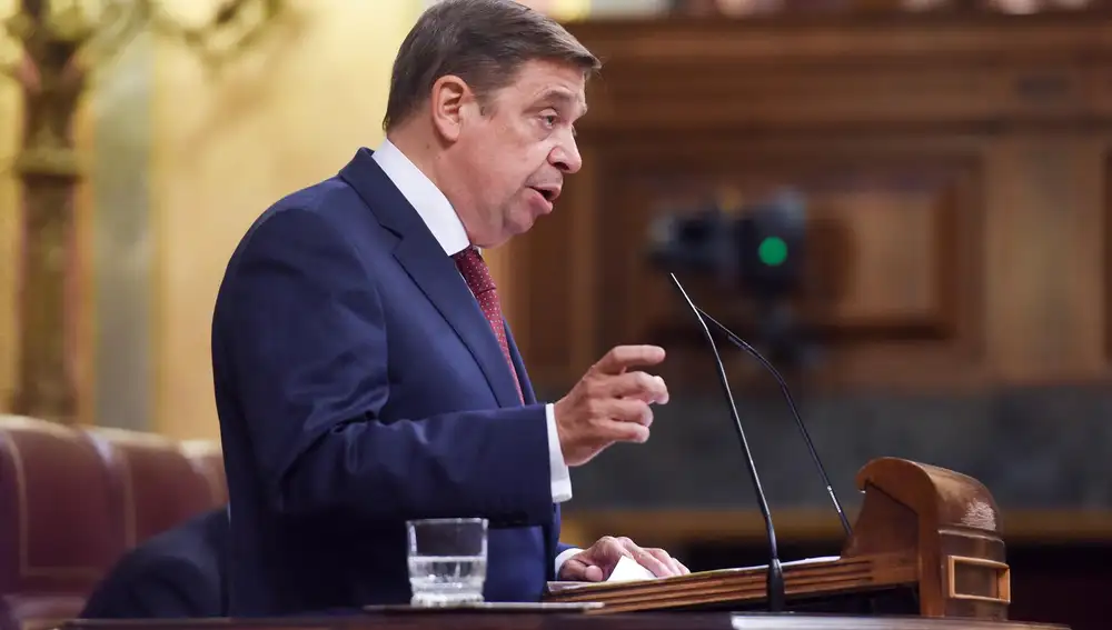 Economía.- Planas pide tranquilidad ante la gripe aviar y dice que puede haber incidencia en el precio de los huevos