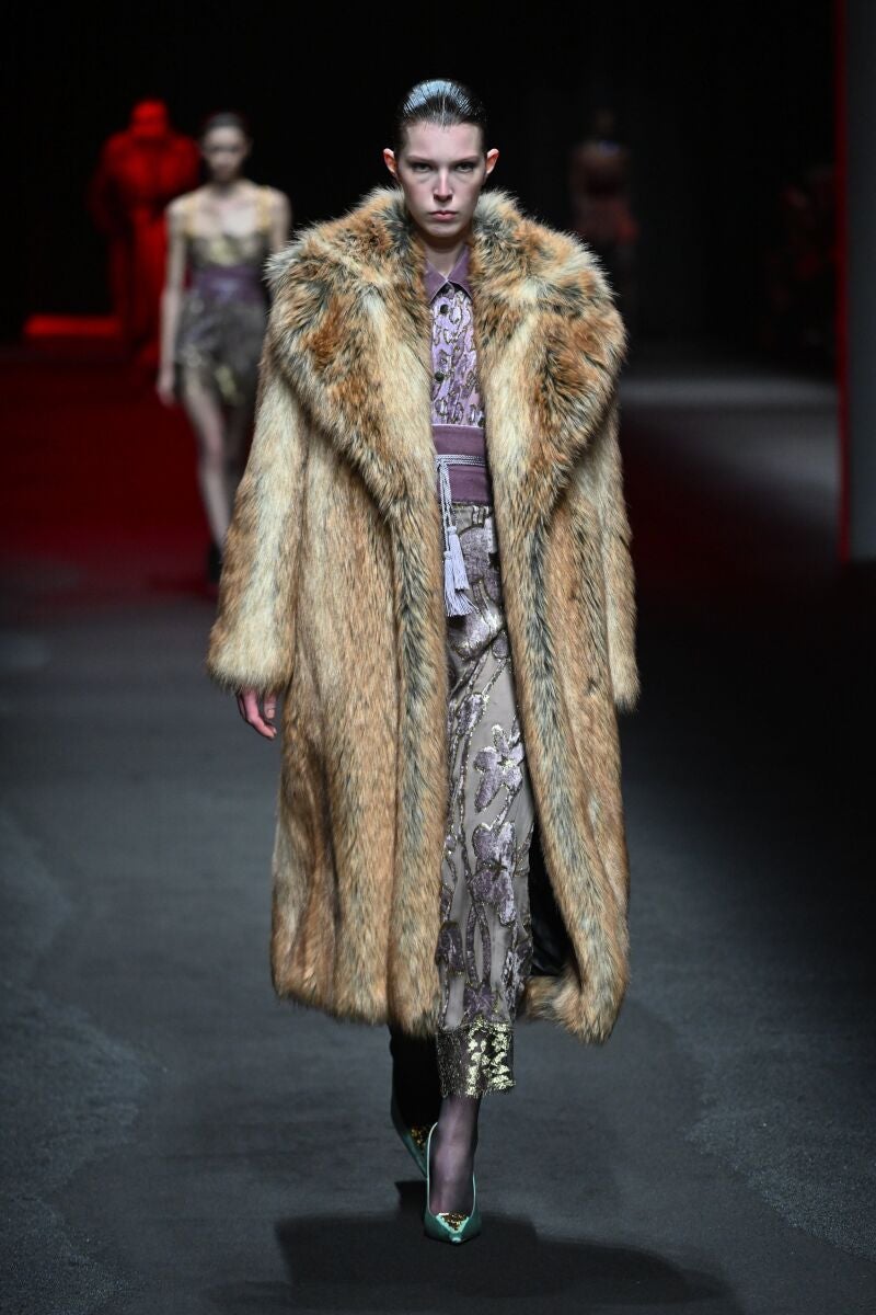 Desfile de Roberto Cavalli.