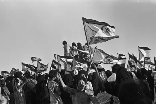 Conflictos solucionados a través del hilo telefónico Conflictos solucionados a través del hilo telefónico