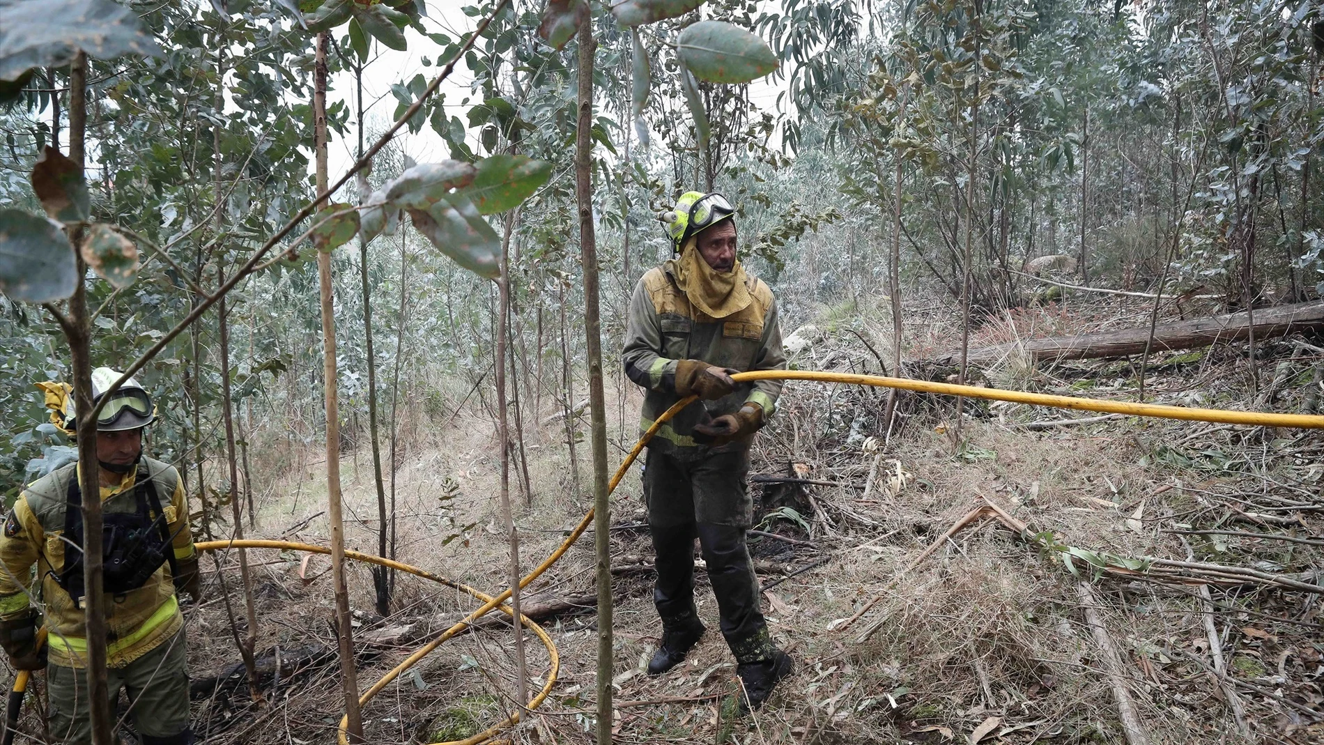 Bomberos trabajan en las tareas de extinción del incendio forestal en Cervo, a 5 de noviembre de 2025, en Cervo, Lugo, Galicia (España