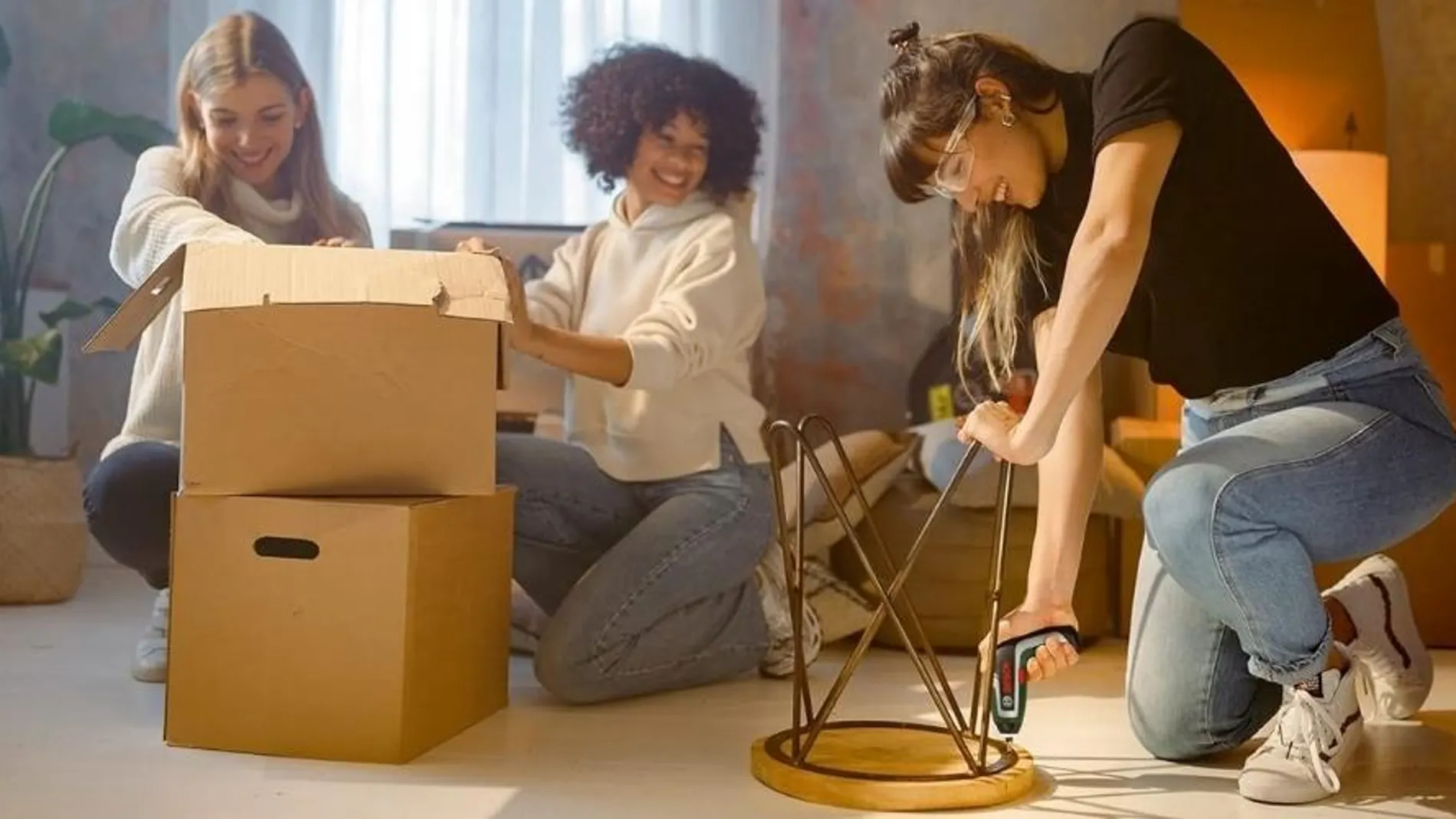 Set Bosch Accessories