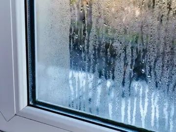 El truco barato para eliminar por completo la humedad en las ventanas El truco barato para eliminar por completo la humedad en las ventanas
