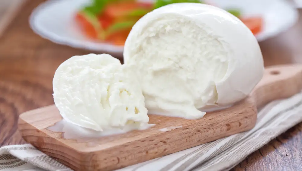 Queso Mozzarella
