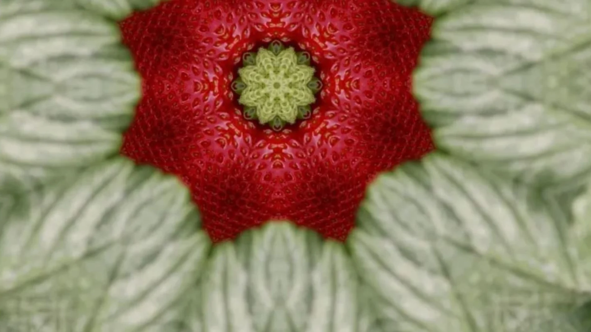 Una imagen promocional de Loop 2025