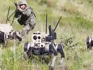 China ya tiene ‘robots lobo’ como fuerza de asalto en su ejército: detectan y eliminan al enemigo en 10 segundos. China ya tiene ‘robots lobo’ como fuerza de asalto en su ejército: detectan y eliminan al enemigo en 10 segundos.