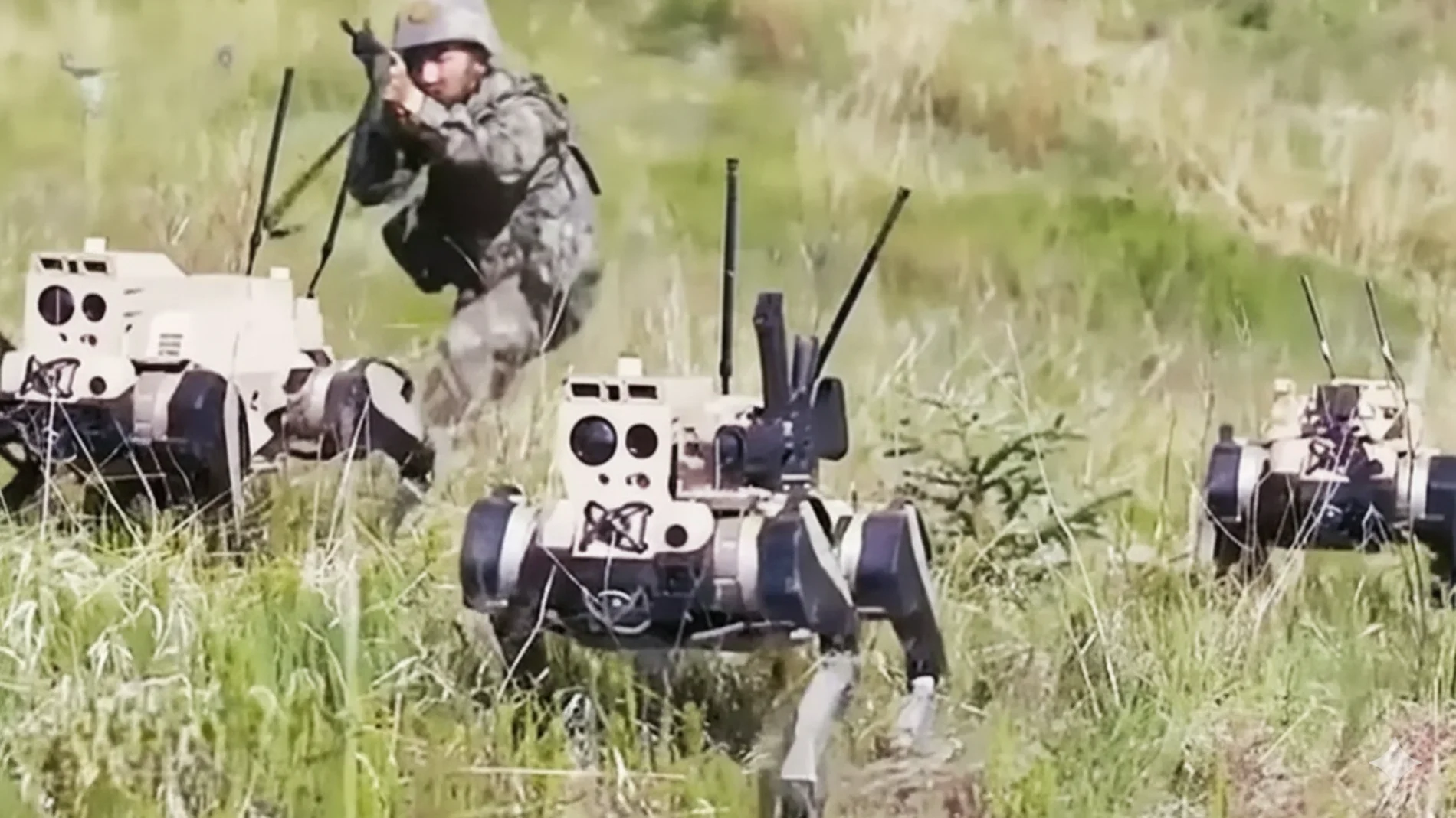 China ya tiene ‘robots lobo’ como fuerza de asalto en su ejército: detectan y eliminan al enemigo en 10 segundos.