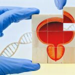 Las nuevas herramientas diagnósticas permiten actuar con mayor precisión Las nuevas herramientas diagnósticas permiten actuar con mayor precisión