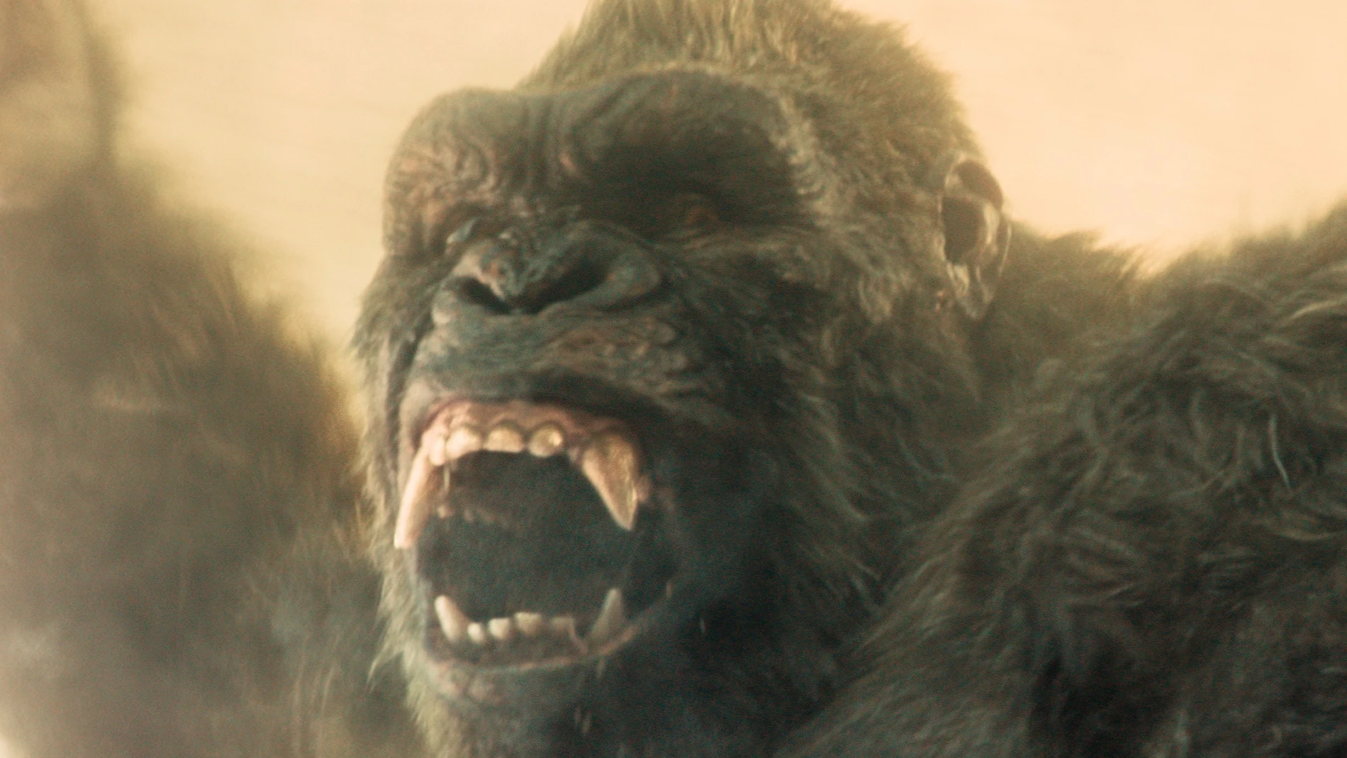 Dos años después, 'Monarch' pone fecha a su temporada 2, con Kong como máximo reclamo