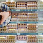 Las consecuencias del confinamiento de gallinas por Gripe Aviar en España: cuánto subirán los precios de los huevos y el pollo