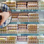 Las consecuencias del confinamiento de gallinas por Gripe Aviar en España: cuánto subirán los precios de los huevos y el pollo