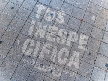 La AEACaP recuerda que la tos persistente y el dolor torácico son los síntomas más habituales del cáncer de pulmón La AEACaP recuerda que la tos persistente y el dolor torácico son los síntomas más habituales del cáncer de pulmón