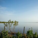 Ecologistas, ayuntamientos y Junta piden al Gobierno una nueva propuesta "basada en el conocimiento cient&iacute;fico"