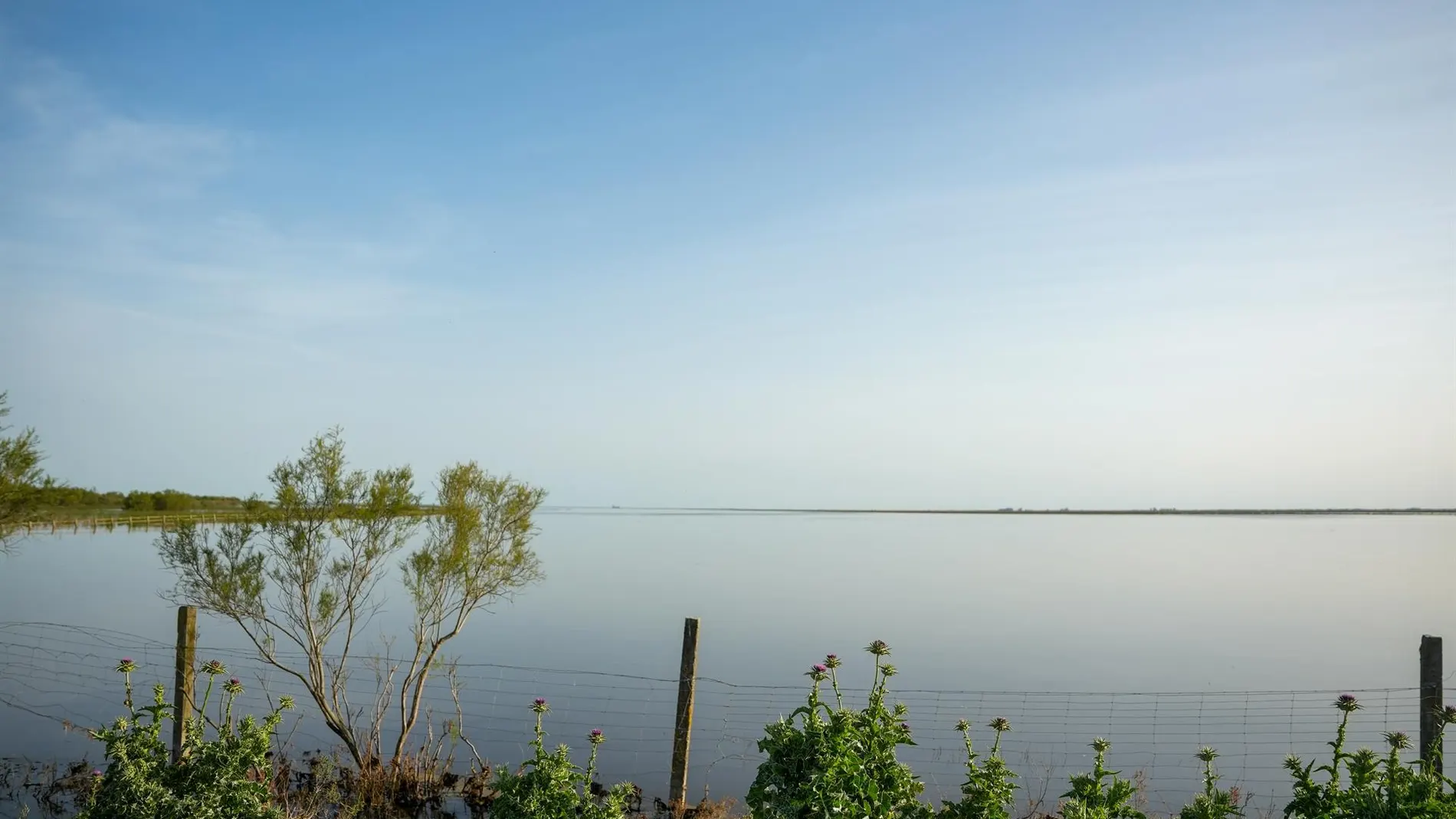 Ecologistas, ayuntamientos y Junta piden al Gobierno una nueva propuesta "basada en el conocimiento científico"